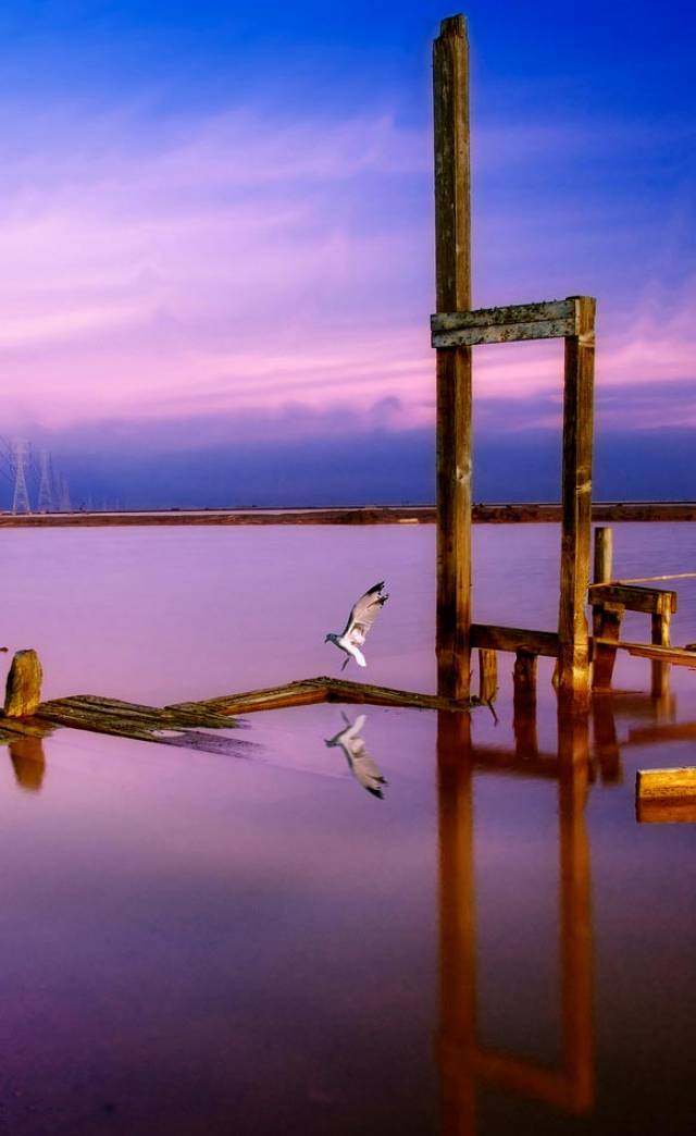 کارگروه اشتغال